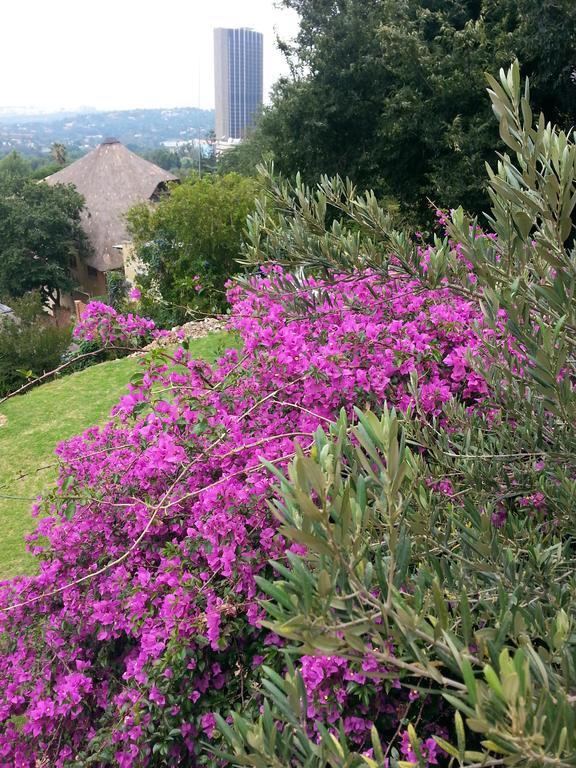 Zietsies Guest House Johannesburg Bagian luar foto