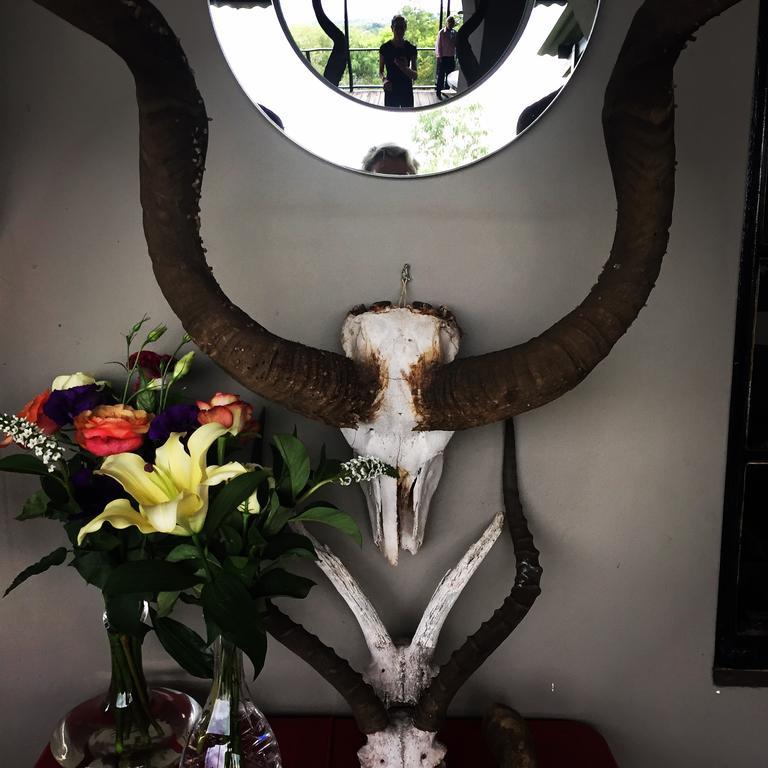 Zietsies Guest House Johannesburg Bagian luar foto